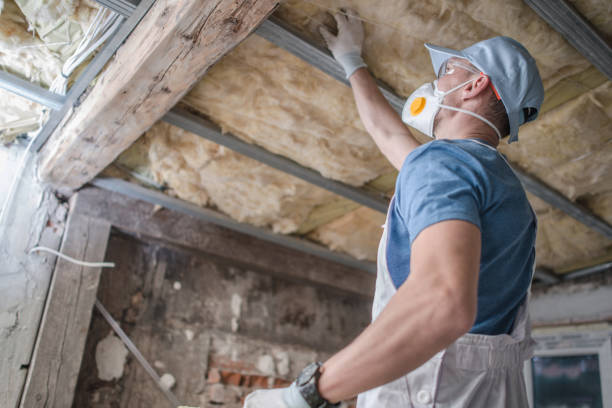 Best Cellulose Insulation in Ouray, CO