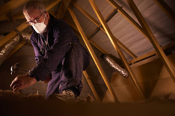 Best DIY Insulation Kits and Guidance in Ouray, CO